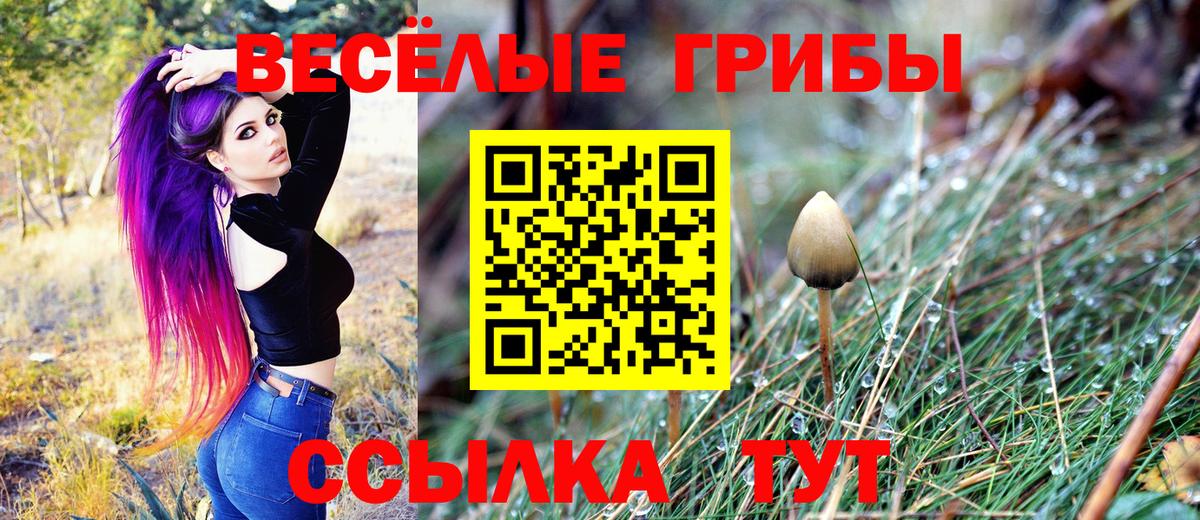 Галлюциногенные грибы GOLDEN TEACHER Отрадный