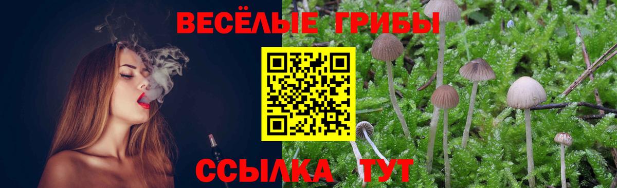 Псилоцибиновые грибы Psilocybine cubensis  Псилоцибиновые грибы прущие грибы  Вход с VPN  Отрадный 